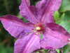20200915141413-DSCF5655.JPG