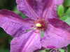 20200915141420-DSCF5656.JPG