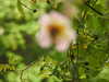 20200915141447-DSCN5915.JPG