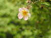 20200915141502-DSCN5919.JPG