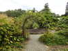 20200915141513-DSCN5920.JPG
