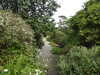 20200915141558-DSCN5922.JPG