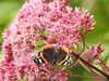 20200915141618-DSCN5924.JPG