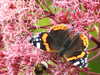 20200915141623-DSCN5925.JPG