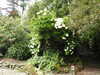 20200915142010-DSCN5935.JPG