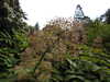 20200915142039-DSCN5936.JPG