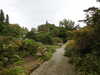 20200915142135-DSCN5941.JPG