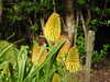 20200915142203-DSCN5942.JPG