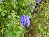20200915142239-DSCN5945.JPG