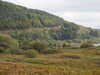 20200915142602-DSCN5948.JPG