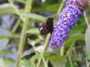 20200915142854-DSCN5952.JPG