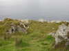 20200915155328-DSCN5969.JPG