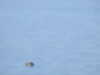 20200915174440-DSCN5976.JPG