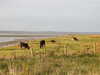 2020-09-17:Gretna Green-Kinmel Bay Evening with Ivan and Carron
