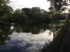 2020-10-08:Chislehurst Pond
