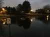 2020-11-18:Chislehurst Pond
