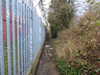 20210117112010-DSCN6177.JPG