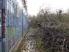 20210117112151-DSCN6178.JPG