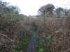 20210117112319-DSCN6179.JPG