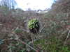 20210117112401-DSCN6180.JPG