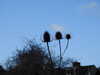 20210117112415-DSCN6181.JPG