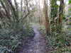 20210117112531-DSCN6185.JPG