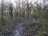 20210117112546-DSCN6186.JPG