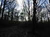 20210117112750-DSCN6189.JPG