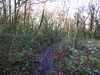 20210117112814-DSCN6190.JPG