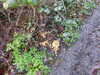20210117112838-DSCN6191.JPG
