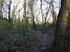 20210117112946-DSCN6196.JPG