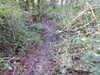 20210117113027-DSCN6198.JPG
