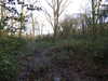 20210117113216-DSCN6200.JPG