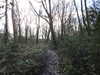 20210117113719-DSCN6201.JPG