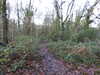 20210117113751-DSCN6202.JPG