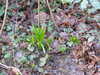 20210117113814-DSCN6203.JPG