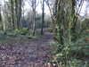 20210117113850-DSCN6205.JPG