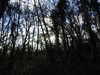 20210117113853-DSCN6206.JPG