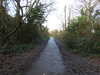 20210117114016-DSCN6207.JPG