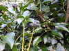 20210117114857-DSCN6214.JPG