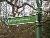20210117115027-DSCN6215.JPG