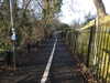 20210117115207-DSCN6218.JPG