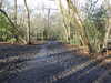 20210117115611-DSCN6220.JPG