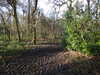 20210117115651-DSCN6221.JPG