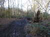 20210117115805-DSCN6222.JPG
