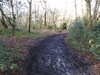 20210117120234-DSCN6224.JPG