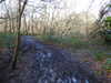 20210117120317-DSCN6225.JPG