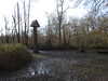 20210117120631-DSCN6229.JPG
