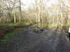 20210117120706-DSCN6233.JPG