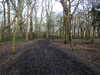 20210117121214-DSCN6237.JPG